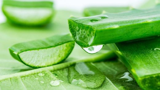 Global Aloe Vera Extracts Market Demand as per use