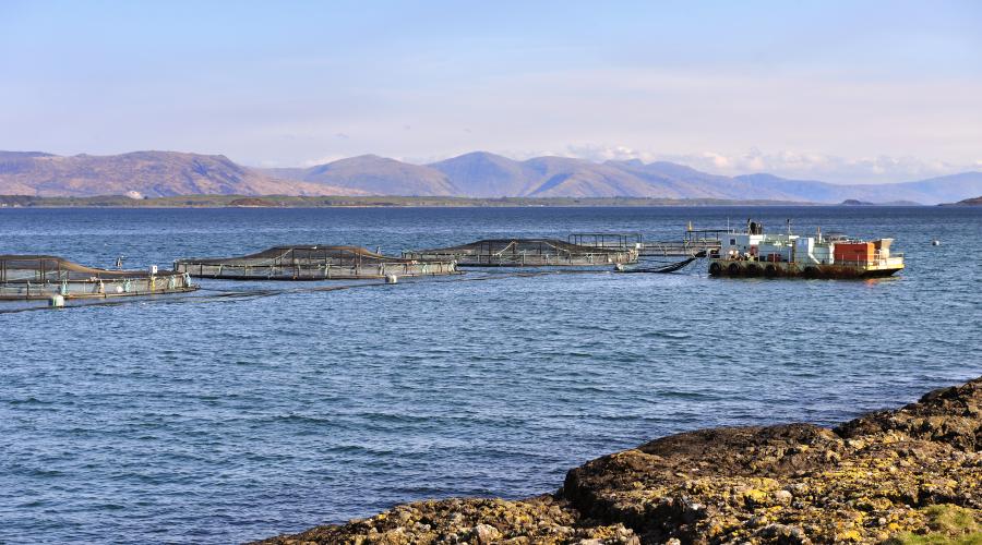 Aquaculture Market to Reach $245.2 Billion by 2027