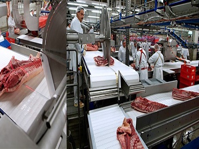 Global Meat Processing Equipment Market